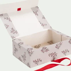 alinea Objet Décoratif De Noël*Boite cadeau motif fragon 30X20X10cm - Blanc