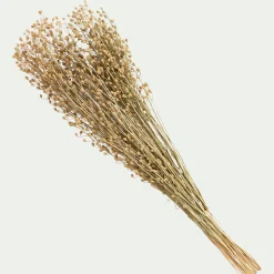 alinea Fleurs Séchées*Botte de Passerages séchées H55cm - Jaune