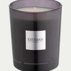 alinea Parfum D'Ambiance|Bougie*Bougie parfumée senteur Figue Noire 180g