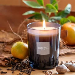 alinea Parfum D'Ambiance|Bougie*Bougie parfumée senteur Légendes d'Orient 180g