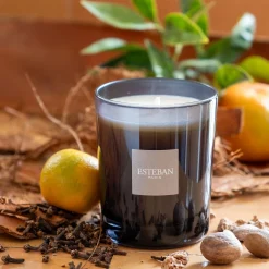 alinea Parfum D'Ambiance|Bougie*Bougie parfumée senteur Légendes d'Orient 180g