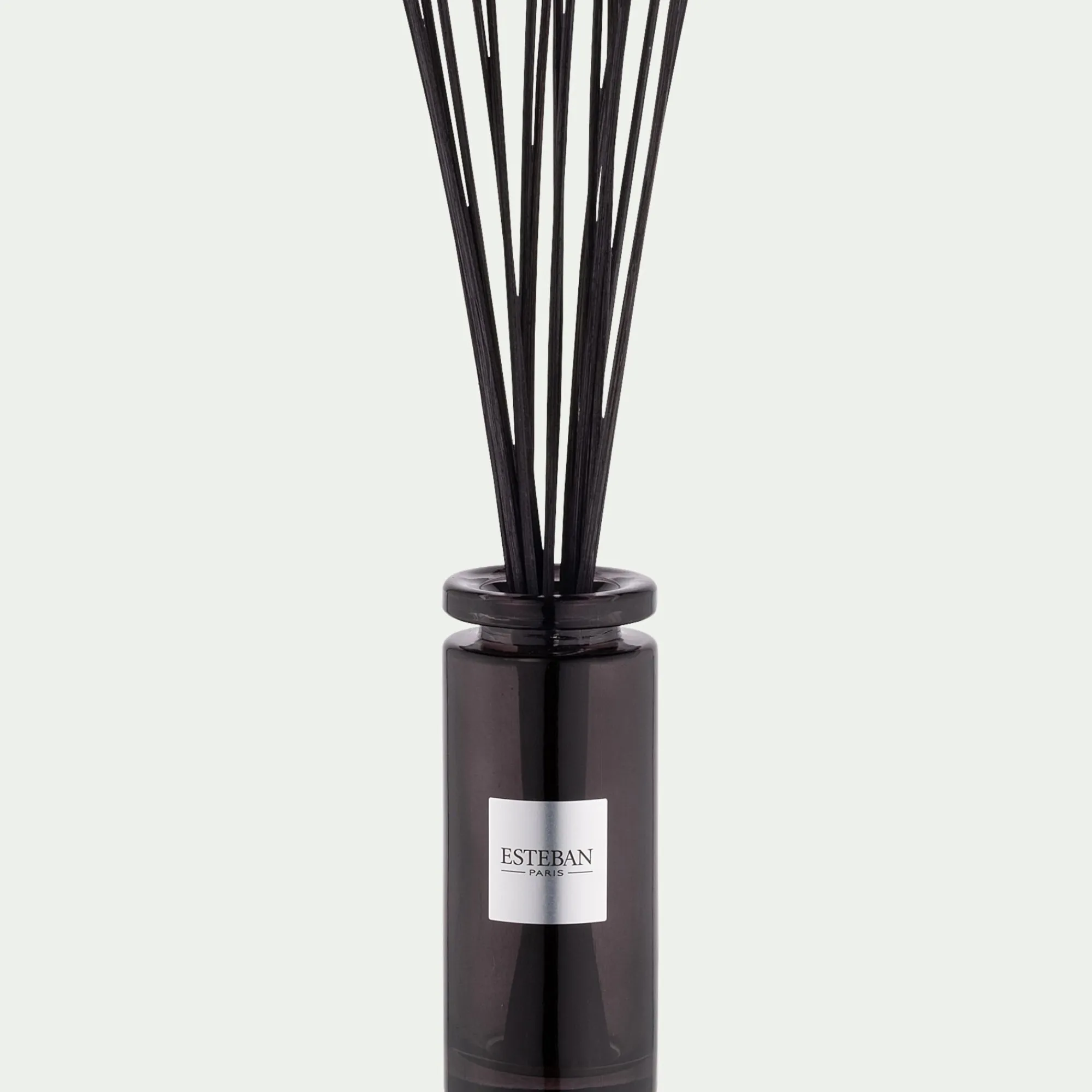 alinea Parfum D'Ambiance*Bouquet parfumé senteur Figue Noire 100ml