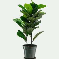 alinea Pot De Fleur*Cache-pot et sa coupelle en céramique D17cm - Vert