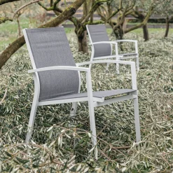 alinea Chaise De Jardin*Chaise de jardin avec accoudoirs en aluminium - gris