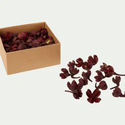 alinea Décoration De La Table De Noël|Vase Et Branchage De Noël*Déco végétale fruits secs - Rouge