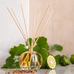 alinea Parfum D'Ambiance*Diffuseur de parfum senteur Ambre Intense 100ml