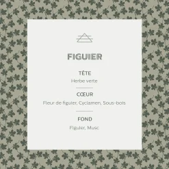 alinea Parfum D'Ambiance*Diffuseur de parfum senteur Figuier 100ml