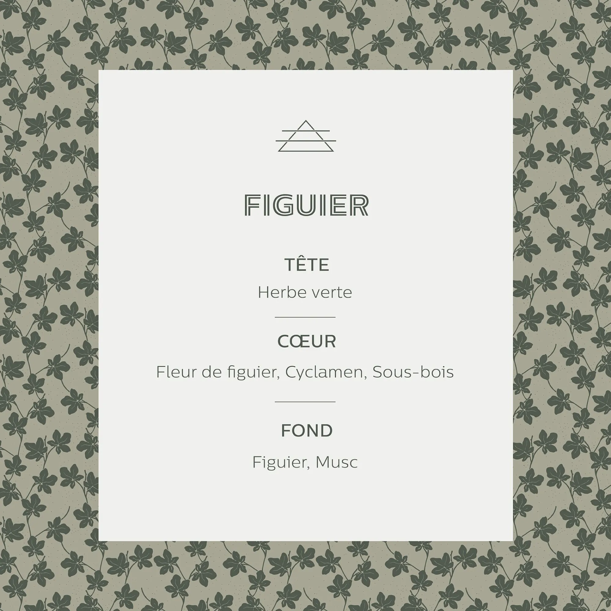 alinea Parfum D'Ambiance*Diffuseur de parfum senteur Figuier 100ml