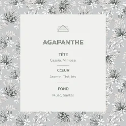 alinea Parfum D'Ambiance*Diffuseur de parfum senteur Agapanthe 100ml