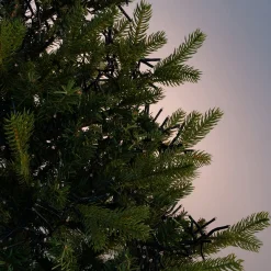 alinea Guirlande De Noël*Guirlande lumineuse grappe 5,60m - Jaune
