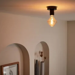 alinea Plafonnier*Plafonnier électrifié en métal D10cm - Noir
